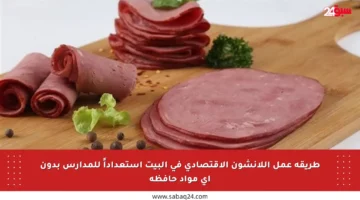 طريقة عمل اللانشون الاقتصادي في البيت استعداداً للمدارس بدون أي مواد حافظة